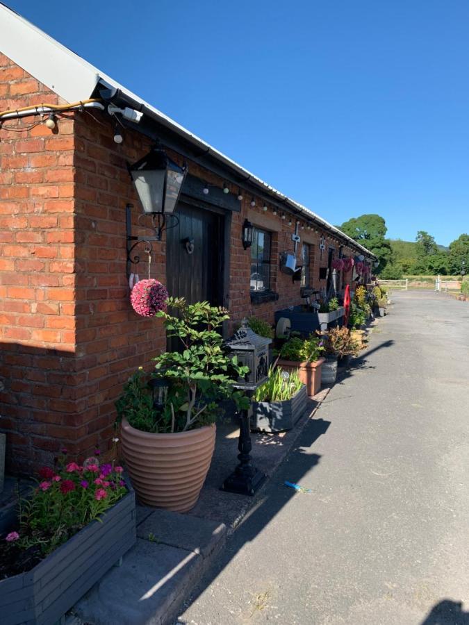 Dolafon Farm Luxury Glamping Cabin With Hot Tub St. Asaph Eksteriør billede